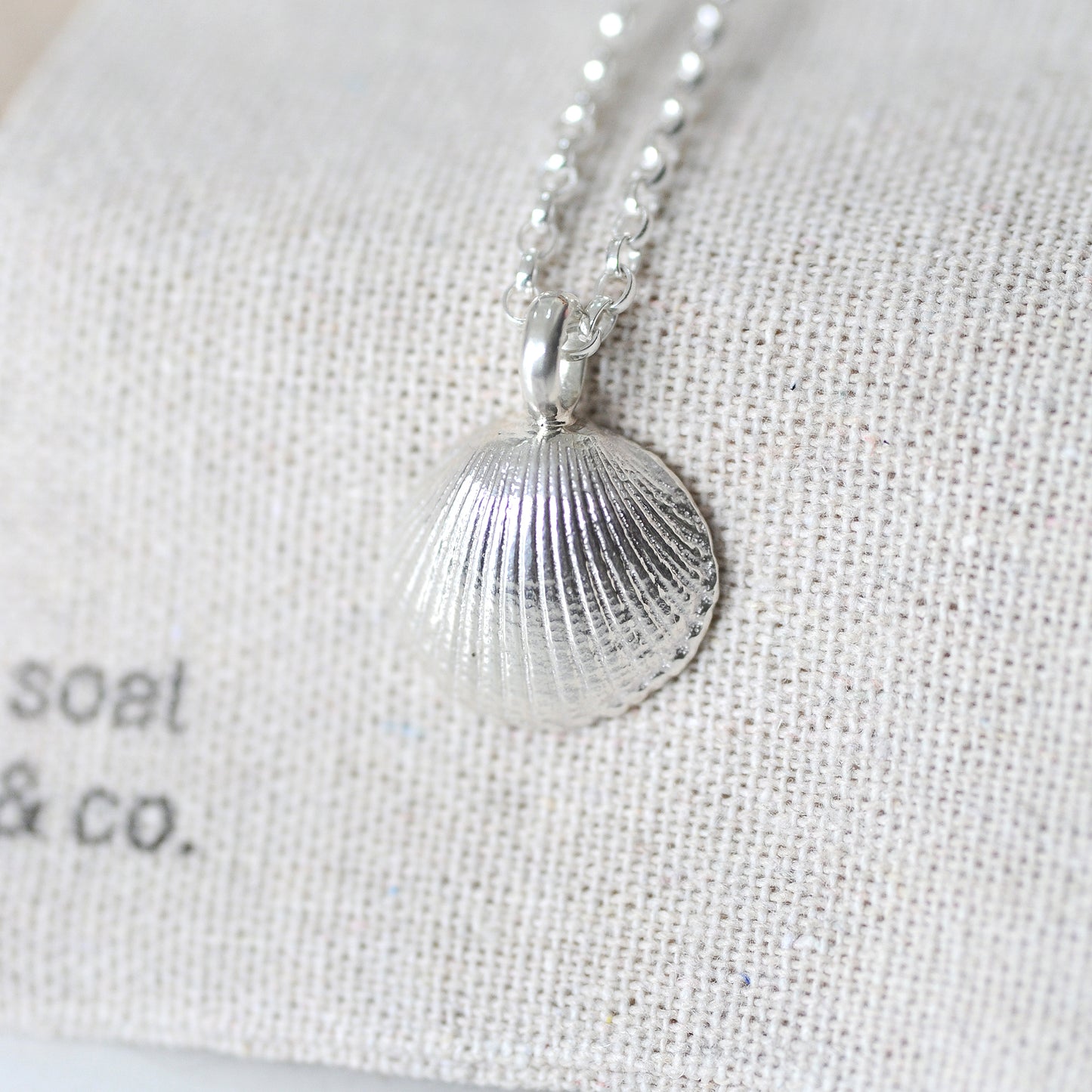 Large St Ives Shell Necklace