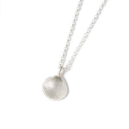 Large St Ives Shell Necklace