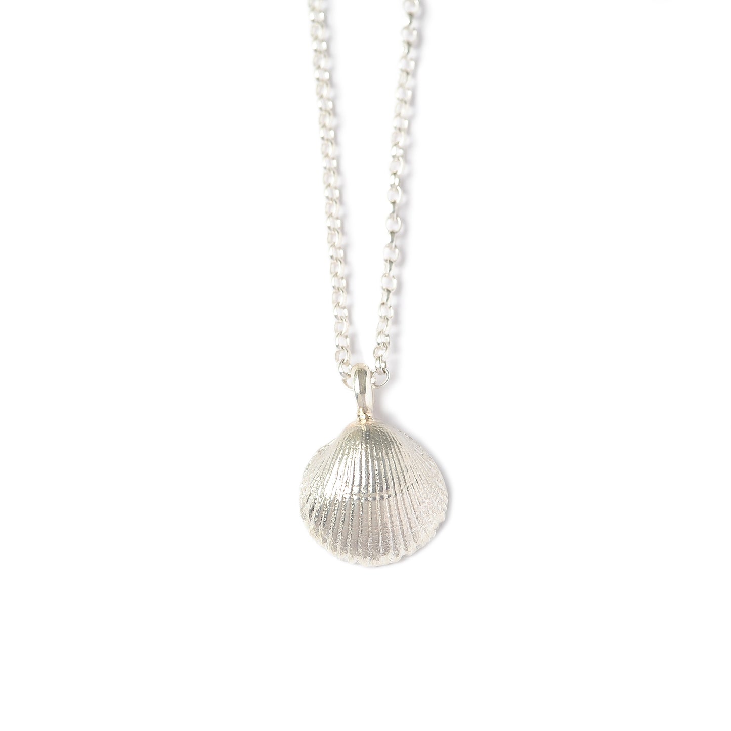 Large St Ives Shell Necklace