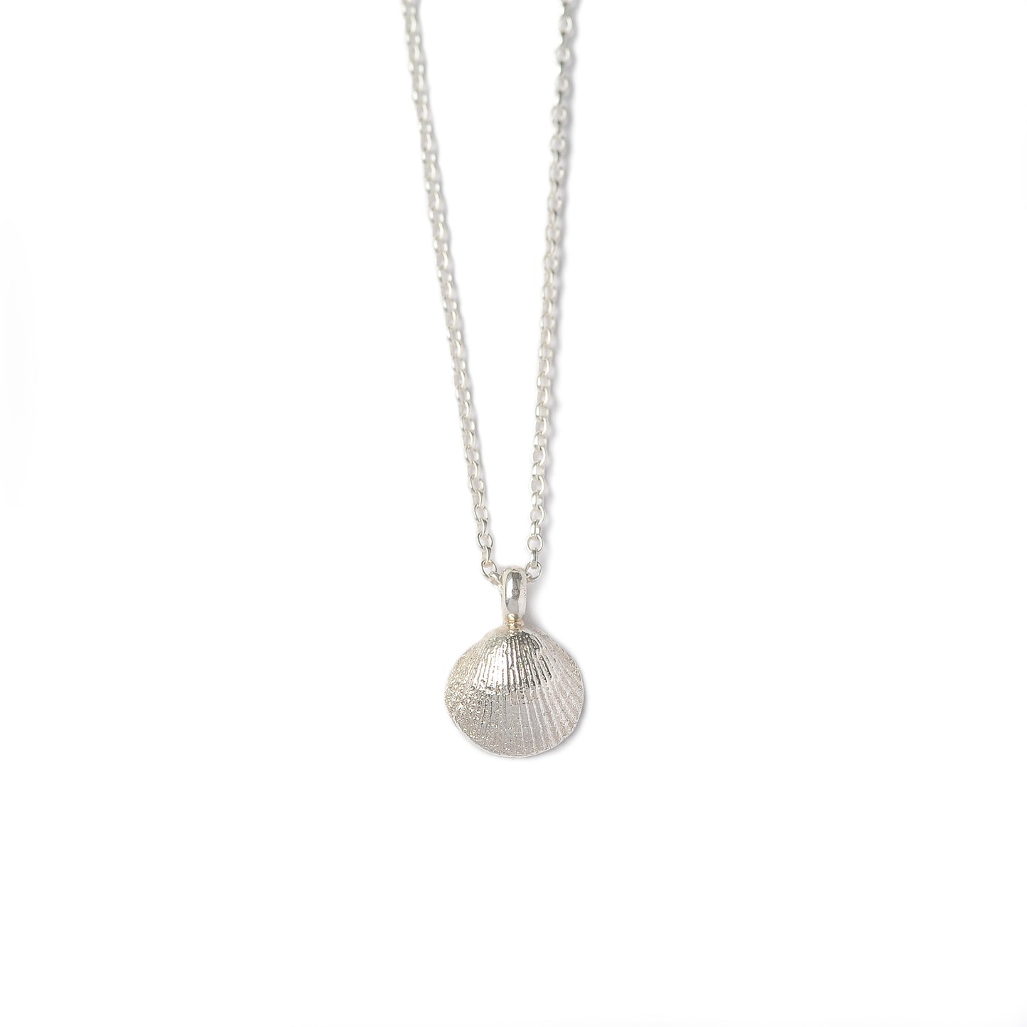 Small St Ives Shell Necklace